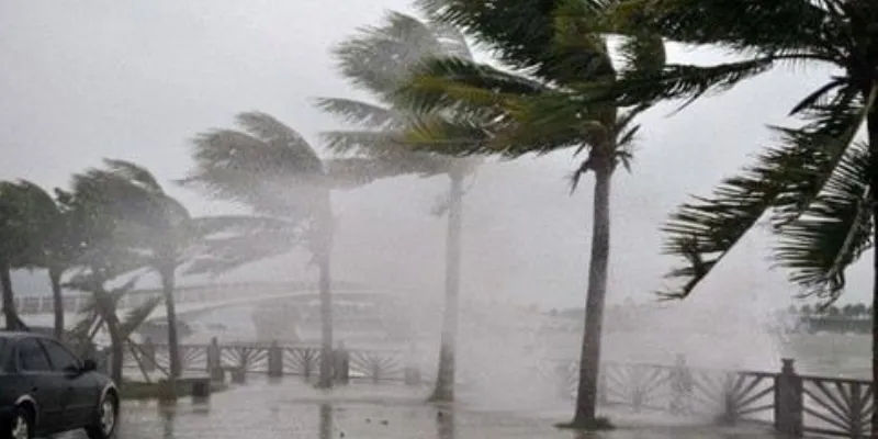 Mơ thấy bão và cơn gió mạnh