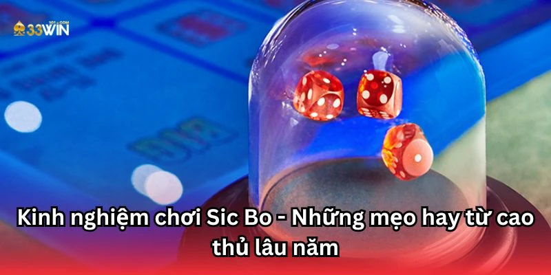 Kinh nghiệm chơi Sic Bo - Những mẹo hay từ cao thủ lâu năm
