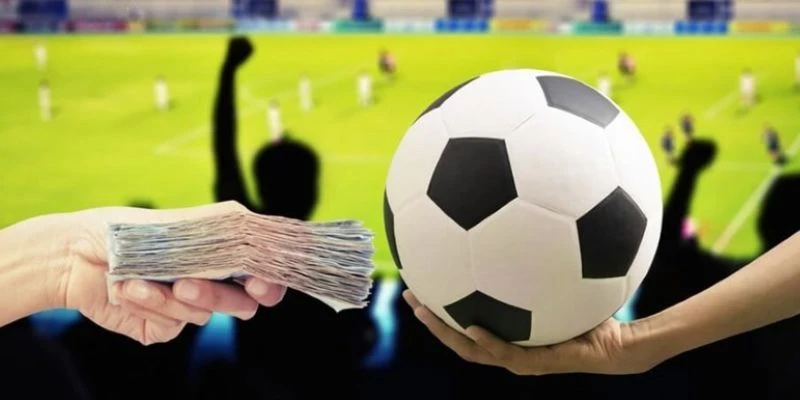 Mẹo tránh kèo dụ bóng đá từ cao thủ 